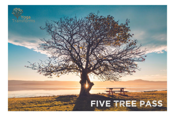 Five tree passB
